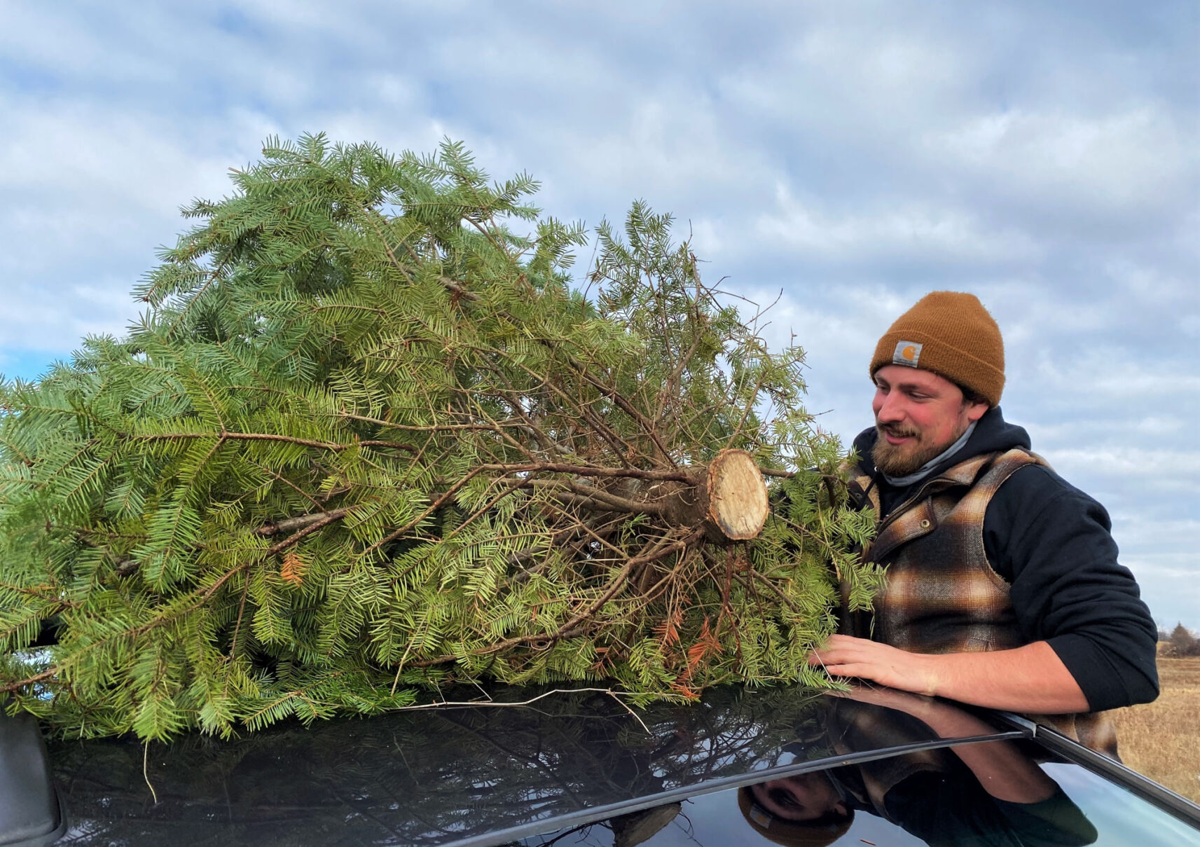 Families pick festive favorites at Canton tree farm